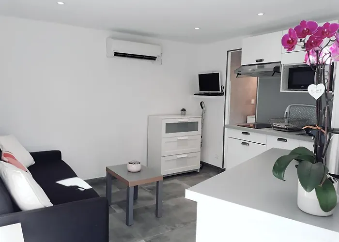 Studio Renove Avec Terrasse St Raphael